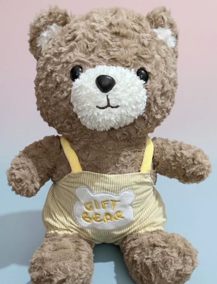 Gift Bear Soft Toy – 50 CM